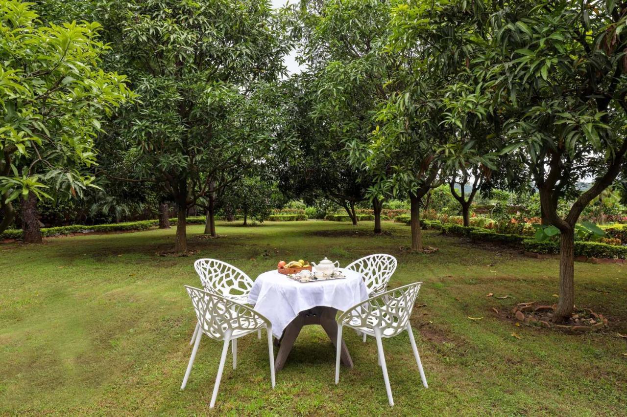 Stayvista'S Prakriti Farms With Outdoor Pool, Complimentary Breakfast And Hi-Tea Udaipur Eksteriør billede